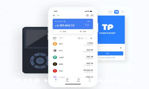 最优选择：全面解析当下最实用的区块链钱包