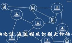 揭开宠物之谜：通过拍照识别犬种的创新技术