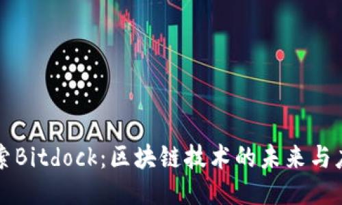探索Bitdock：区块链技术的未来与应用
