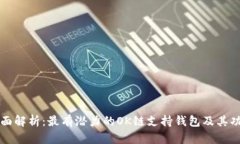 全面解析：最有潜力的OK链支持钱包及其功能