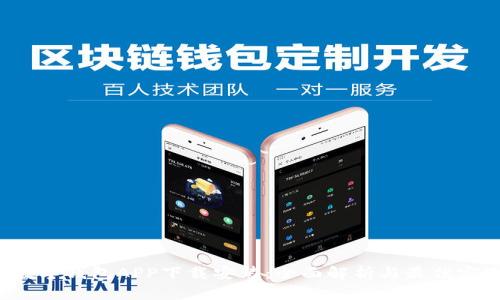  数字钱包APP下载安装：全面解析与最佳实践