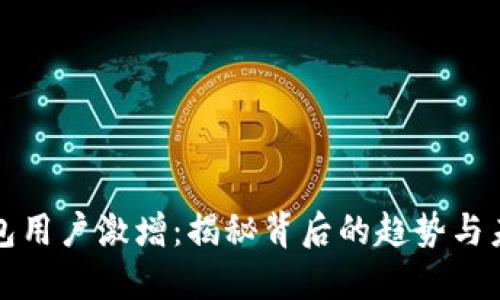 加密钱包用户激增：揭秘背后的趋势与未来展望