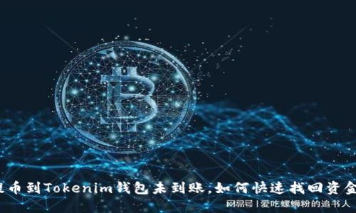 提币到Tokenim钱包未到账，如何快速找回资金？