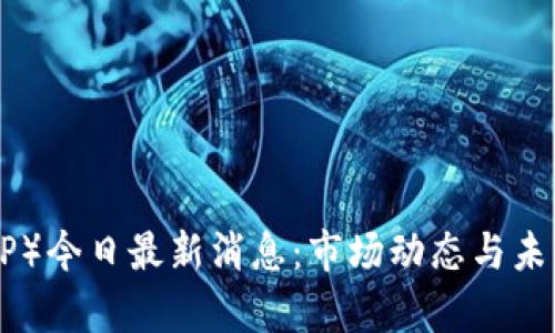 瑞波币（XRP）今日最新消息：市场动态与未来趋势分析