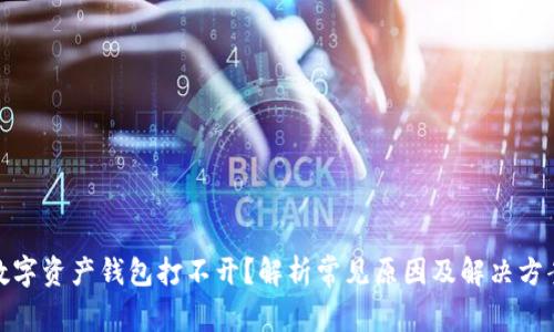 数字资产钱包打不开？解析常见原因及解决方案