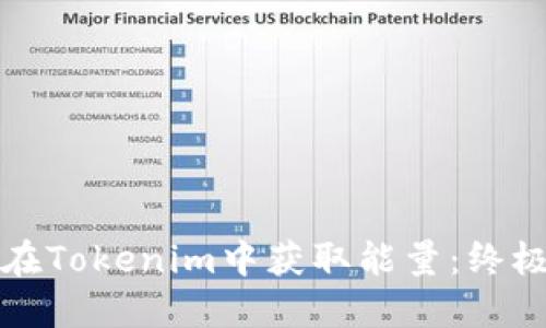 如何在Tokenim中获取能量：终极指南