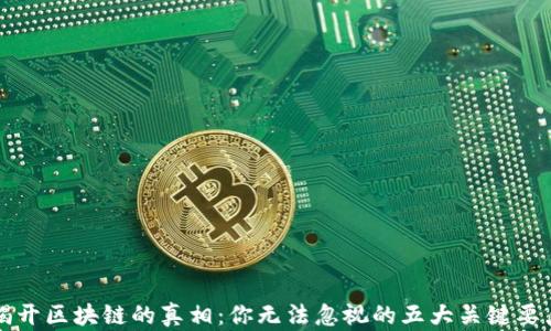 
揭开区块链的真相：你无法忽视的五大关键要点