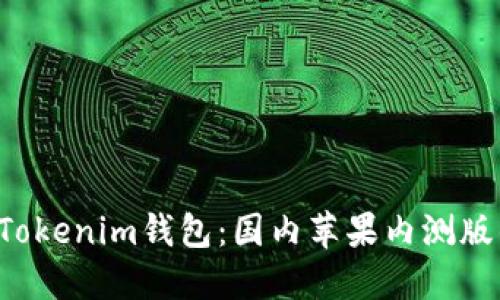 探索TokenTokenim钱包：国内苹果内测版的全新体验