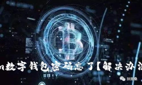 Tokenim数字钱包密码忘了？解决办法全攻略