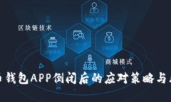 数字货币钱包APP倒闭后的应对策略与风险管理