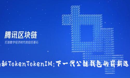 揭秘TokenTokenIM：下一代公链钱包的崭新选择