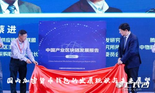 国内加密货币钱包的发展现状与未来展望