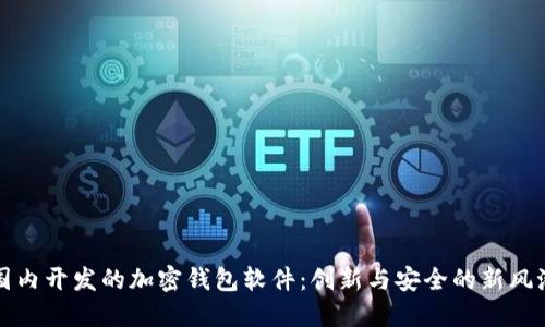 国内开发的加密钱包软件：创新与安全的新风潮
