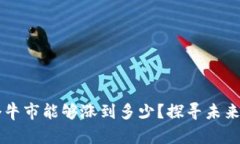 狗狗币下个牛市能够涨到多少？探寻未来潮流与