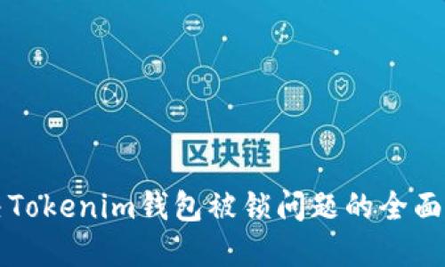 解决Tokenim钱包被锁问题的全面指南