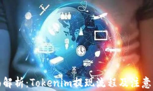 
全面解析：Tokenim提现流程及注意事项