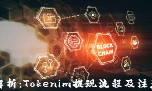 
全面解析：Tokenim提现流程及注意事项