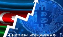 中本聪下载iOS：探索比特币的世界