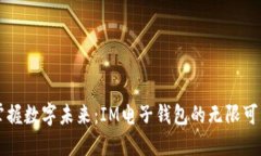 掌握数字未来：IM电子钱包的无限可能