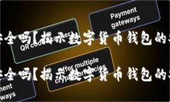 数字货币轻钱包安全吗？揭示数字货币钱包的安