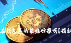 虚拟币放在钱包真的能赚回报吗？揭秘分红机制