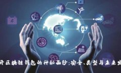揭开区块链钱包的神秘面纱：安全、类型与未来