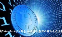 全面解析TokenTokenIM钱包：如何安全存储比特币及