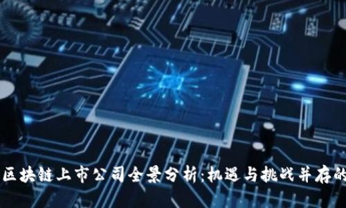 中国区块链上市公司全景分析：机遇与挑战并存的未来
