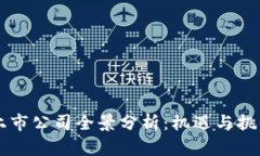 中国区块链上市公司全景分析：机遇与挑战并存