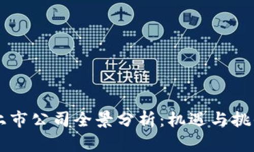 中国区块链上市公司全景分析：机遇与挑战并存的未来