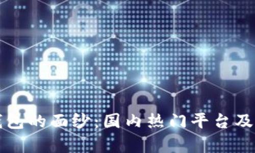 揭开虚拟币钱包的面纱：国内热门平台及其安全性分析