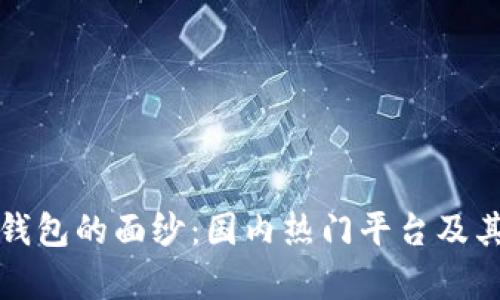 揭开虚拟币钱包的面纱：国内热门平台及其安全性分析