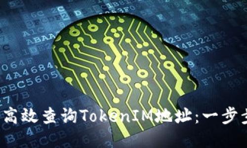  如何高效查询TokenIM地址：一步步指南