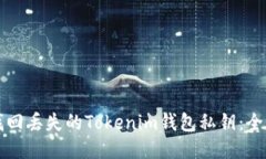 如何找回丢失的Tokenim钱包私钥：全面指南