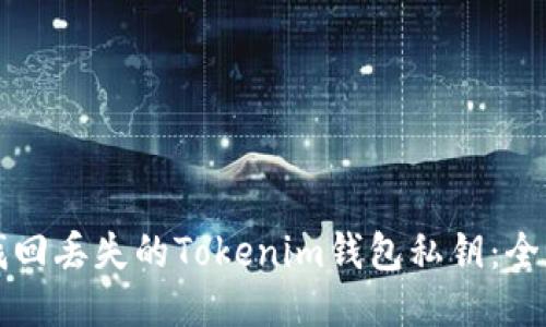 如何找回丢失的Tokenim钱包私钥：全面指南