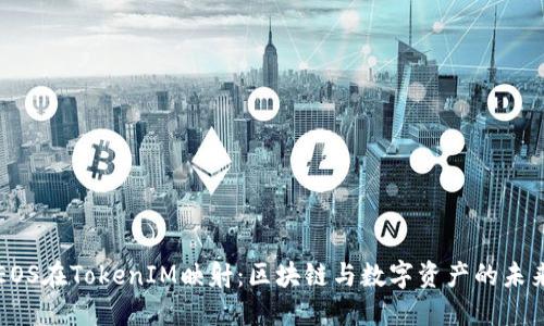EOS在TokenIM映射：区块链与数字资产的未来