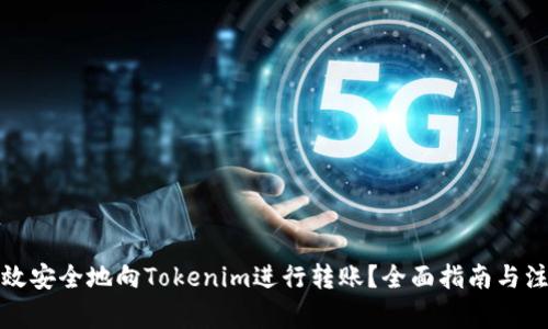 如何高效安全地向Tokenim进行转账？全面指南与注意事项