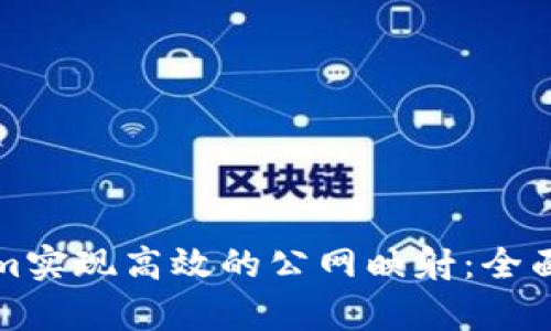如何利用Tokenim实现高效的公网映射：全面解析与实用指南