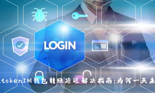 TokentokenIM钱包转账延迟解决指南：为何一天未到账？