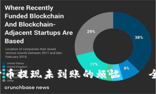  解决货币提现未到账的烦恼——全面指南