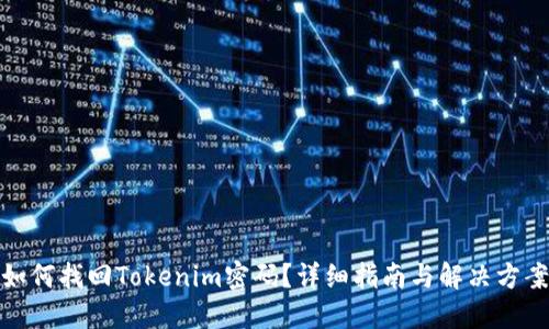 如何找回Tokenim密码？详细指南与解决方案