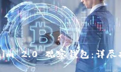 如何制作Tokenim 2.0 观察钱包：详尽指南与实用技巧