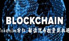 Tokenim分红：解读代币投资新机遇