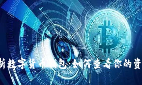  全面解析数字货币钱包：如何查看你的资产与交易