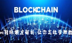 Tokenim转账额度解析：让你高效管理数字资产