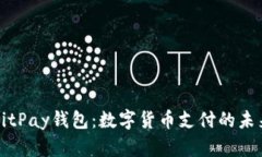 解密BitPay钱包：数字货币支付的未来之钥