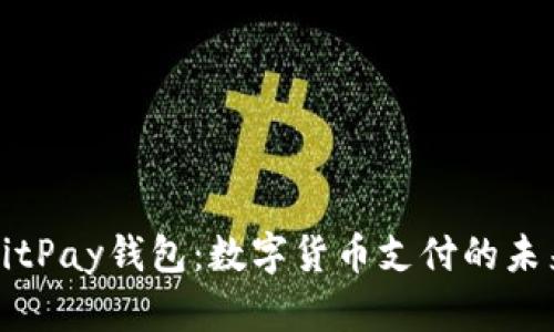 解密BitPay钱包：数字货币支付的未来之钥