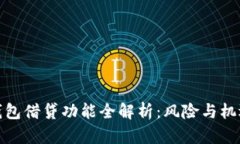 数字钱包借贷功能全解析：风险与机遇并存