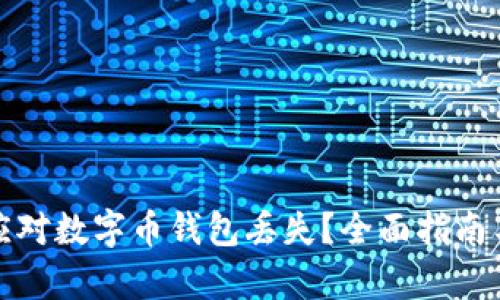 如何有效应对数字币钱包丢失？全面指南与解决方案