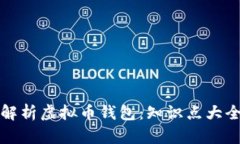 全面解析虚拟币钱包：知识点大全下载